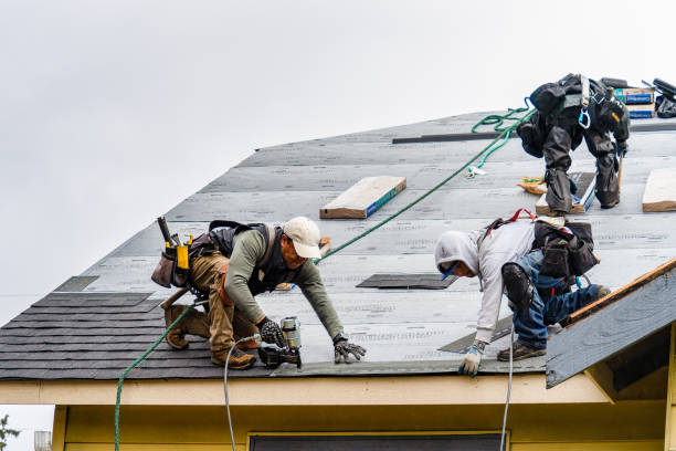 Professional Roofing technician working in Knoxville, IL